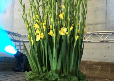 Meyer Söhne AG, Blumengeschäft & Gärtnerei