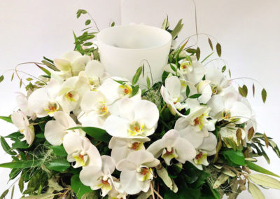 Meyer Söhne AG, Blumengeschäft & Gärtnerei