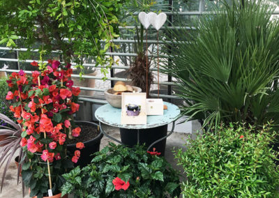 Meyer Söhne AG Blumengeschäft am Hörnli