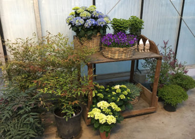 Meyer Söhne AG Blumengeschäft am Hörnli