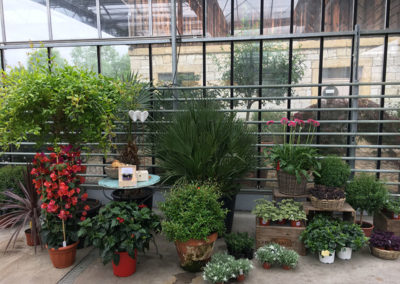 Meyer Söhne AG Blumengeschäft am Hörnli