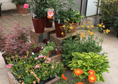 Meyer Söhne AG Blumengeschäft am Hörnli