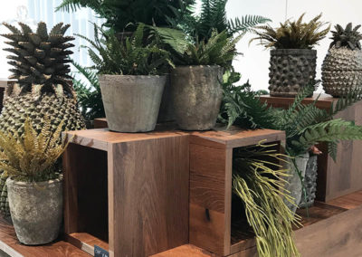 Meyer Söhne AG, Blumengeschäft & Gärtnerei