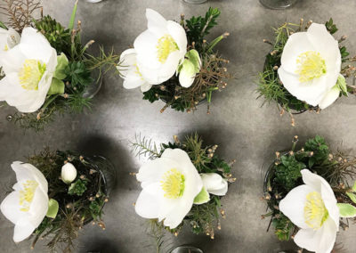 Meyer Söhne AG, Blumengeschäft & Gärtnerei