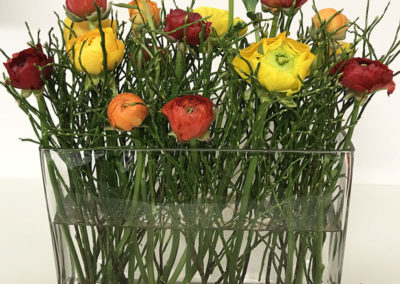 Meyer Söhne AG, Blumengeschäft & Gärtnerei